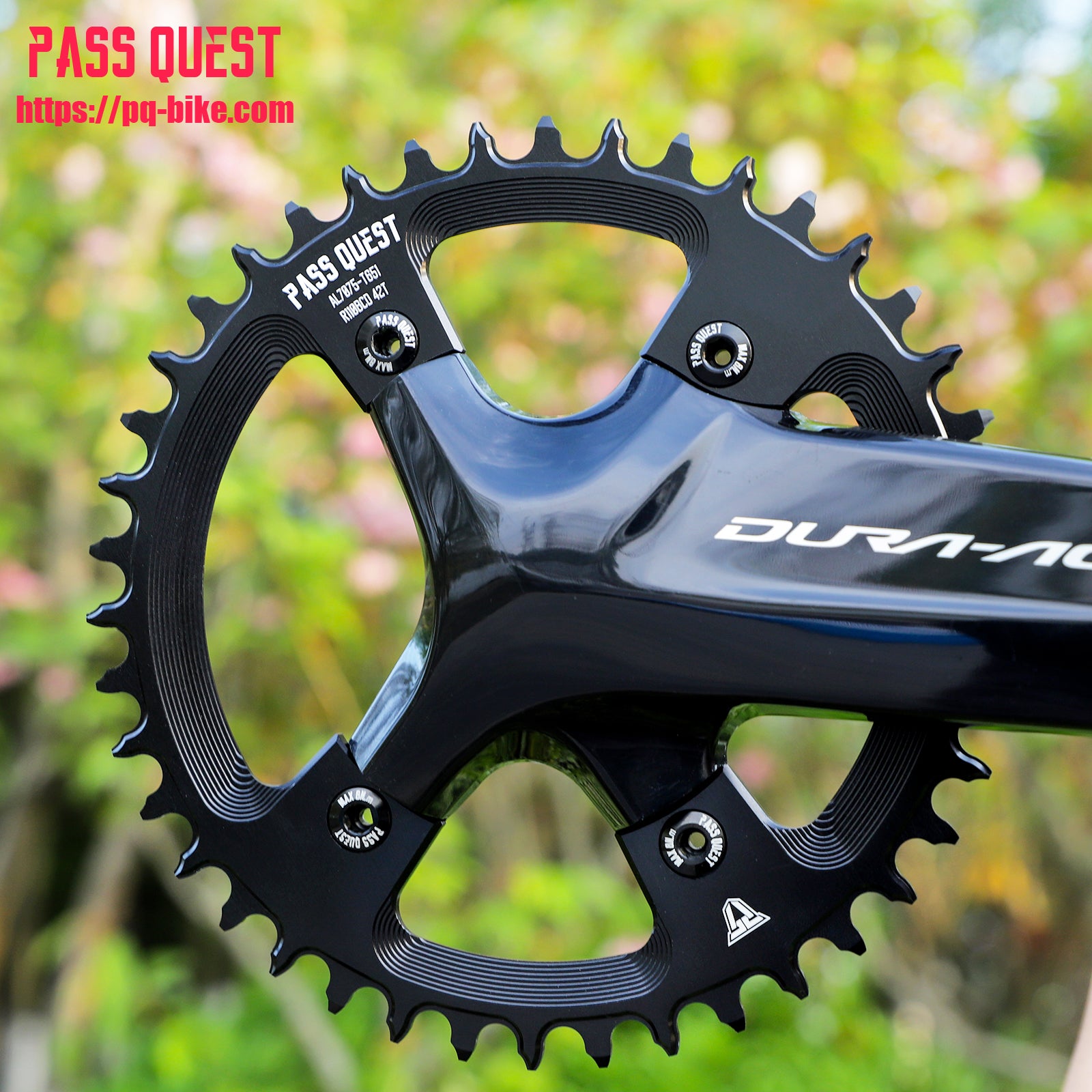 Collections – PASS QUEST