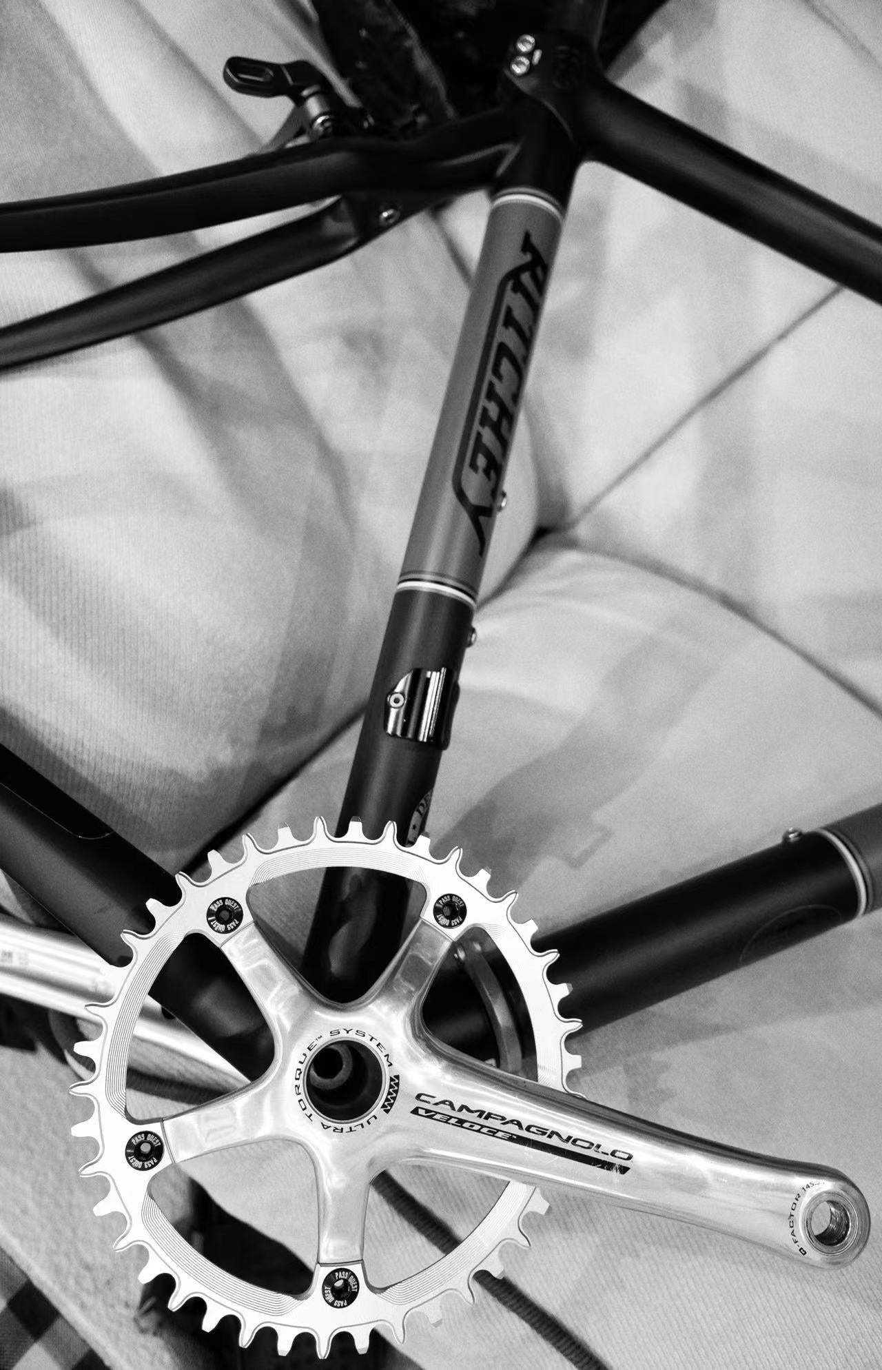 135 BCD Narrow Wide Chainring CAMPAGNOLO – PASS QUEST