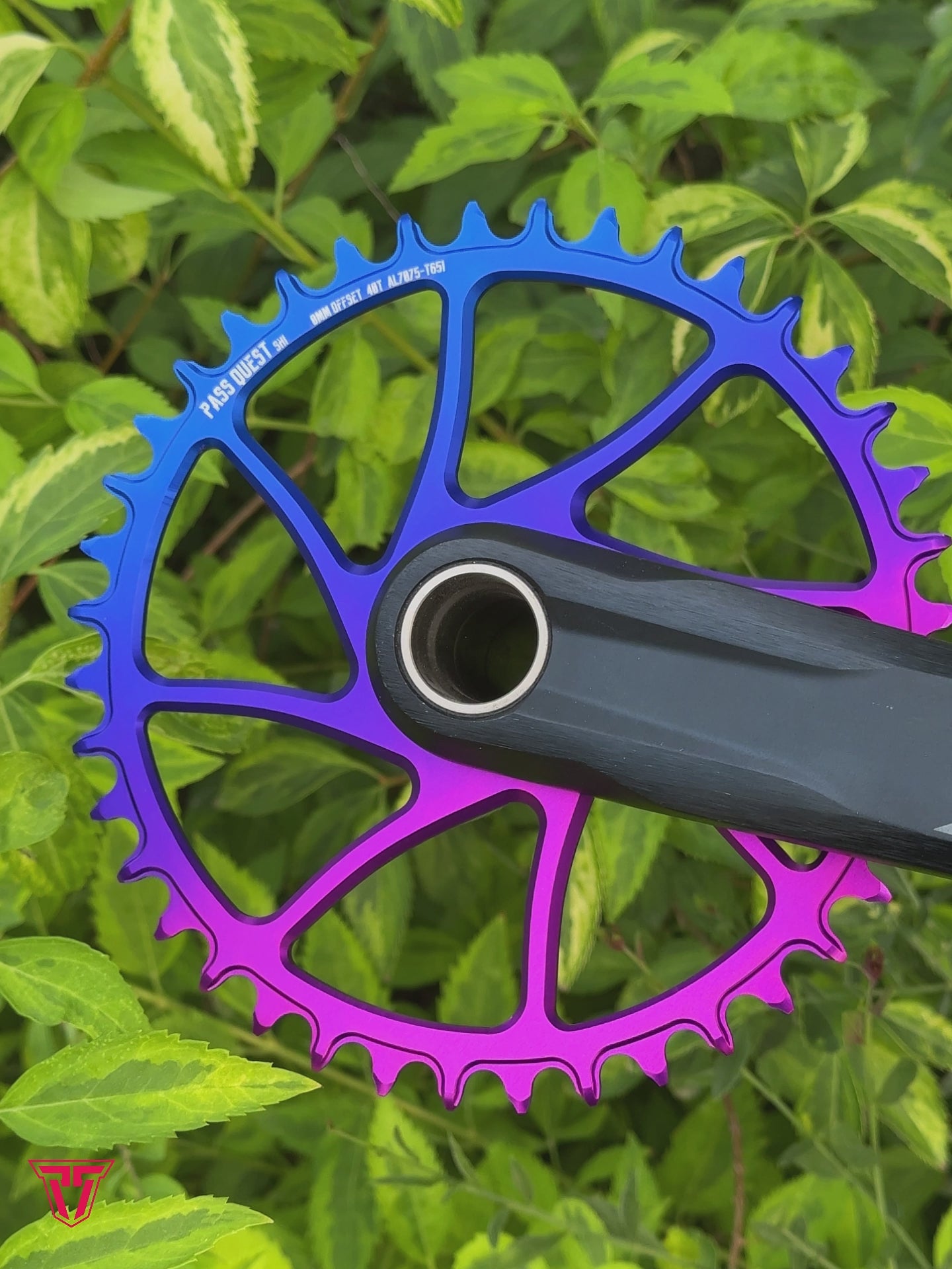 SHIMANO (0mm offset) Hollow Fade color Narrow Wide Chainring