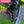 Load image into Gallery viewer, Bike Jockey Wheel Narrow Wide Tooth Derailleur Pulley Plastic Resin POM Gear Guide Roller Bike Derailleur
