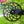 Load image into Gallery viewer, SRAM 3 Nails (0mm offset) Road Bike Power Crank Narrow Wide Chainring
