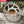 Load image into Gallery viewer, RACE FACE (3mm offset ) Oval Narrow Wide Chainring
