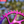 Load image into Gallery viewer, RACE FACE Boost (3mm offset) Round Narrow Wide Chainring
