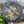 Load image into Gallery viewer, 120BCD Round Mountain Bike Chain Wheel Crankset Narrow Wide Chainring
