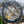 Load image into Gallery viewer, 120BCD Round Mountain Bike Chain Wheel Crankset Narrow Wide Chainring
