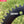 Load image into Gallery viewer, 130 BCD (5-bolt AERO) Round Narrow Wide Chainring
