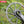 Load image into Gallery viewer, RACE FACE (0mm offset) Round Narrow Wide Chainring
