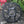 Load image into Gallery viewer, CANNONDALE BOOST MTB  (3mm offset) Narrow Wide Chainring
