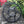 Load image into Gallery viewer, CANNONDALE BOOST MTB  (3mm offset) Narrow Wide Chainring
