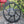 Load image into Gallery viewer, CANNONDALE BOOST MTB Oval (3mm offset) Narrow Wide Chainring
